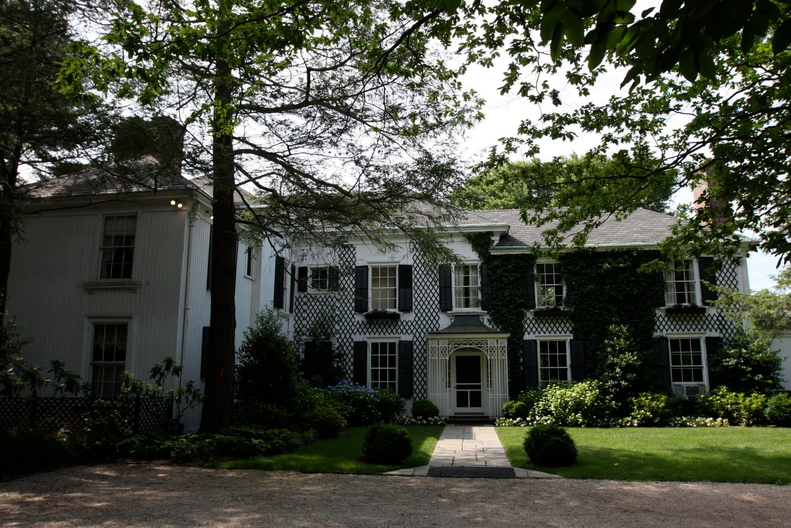 Old Long Island 'Orchard Hill'