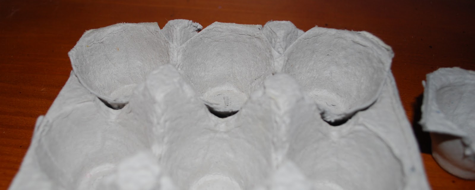 Zerila's Life Blogging Day 118 DIY Egg Carton Ring Organizer