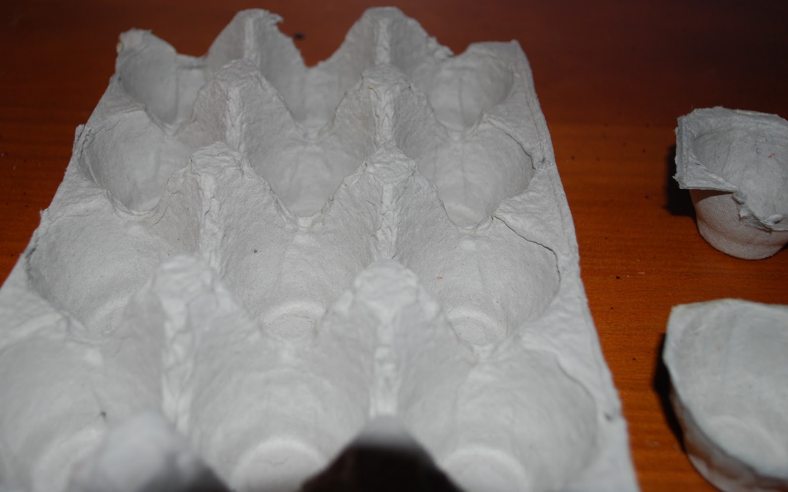 Zerila's Life Blogging Day 118 DIY Egg Carton Ring Organizer