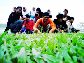 5 cemerlang 2008