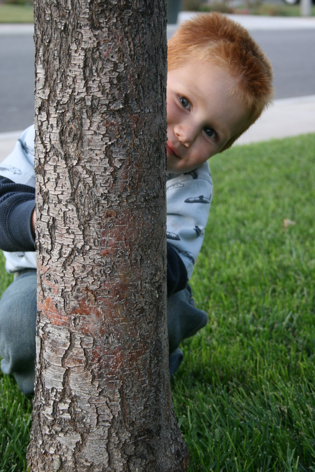 [Front+Yard+Fun+003.JPG]