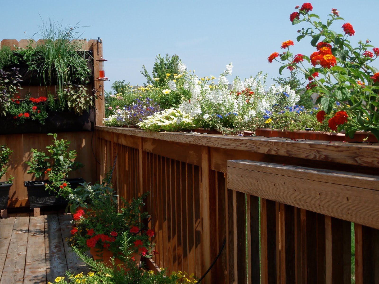 Spiral Style Deck Planting