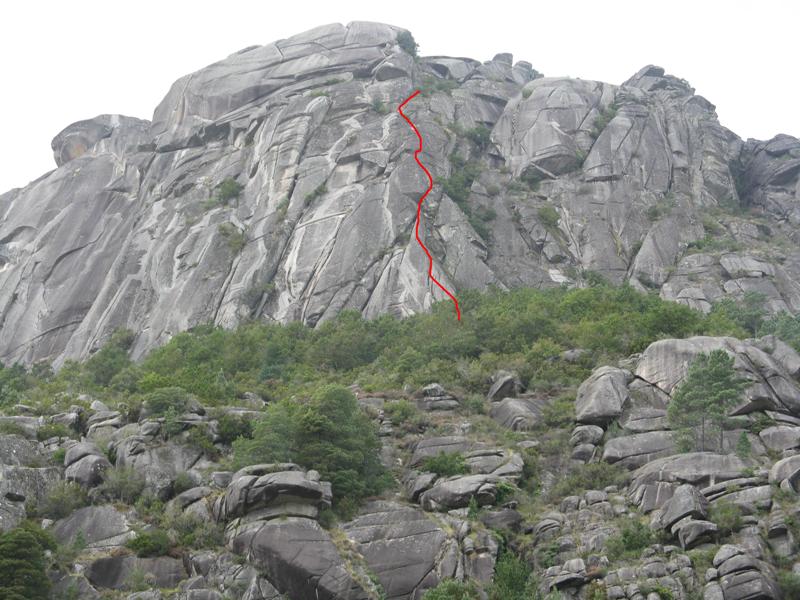 [Edelweiss_linha[1].JPG]