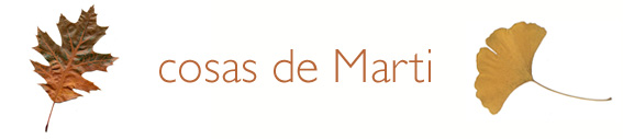 cosas de Marti