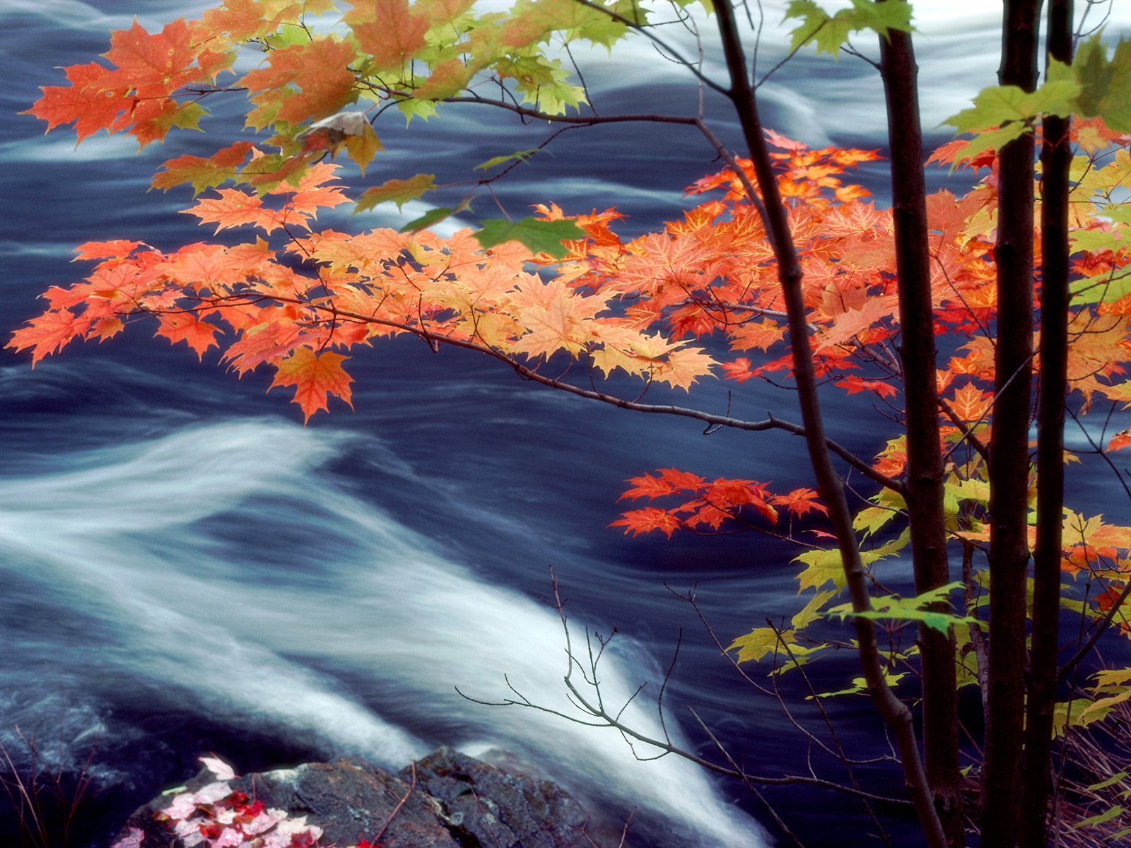 [Oxtongue+River,+Ontario,+Canada.jpg]