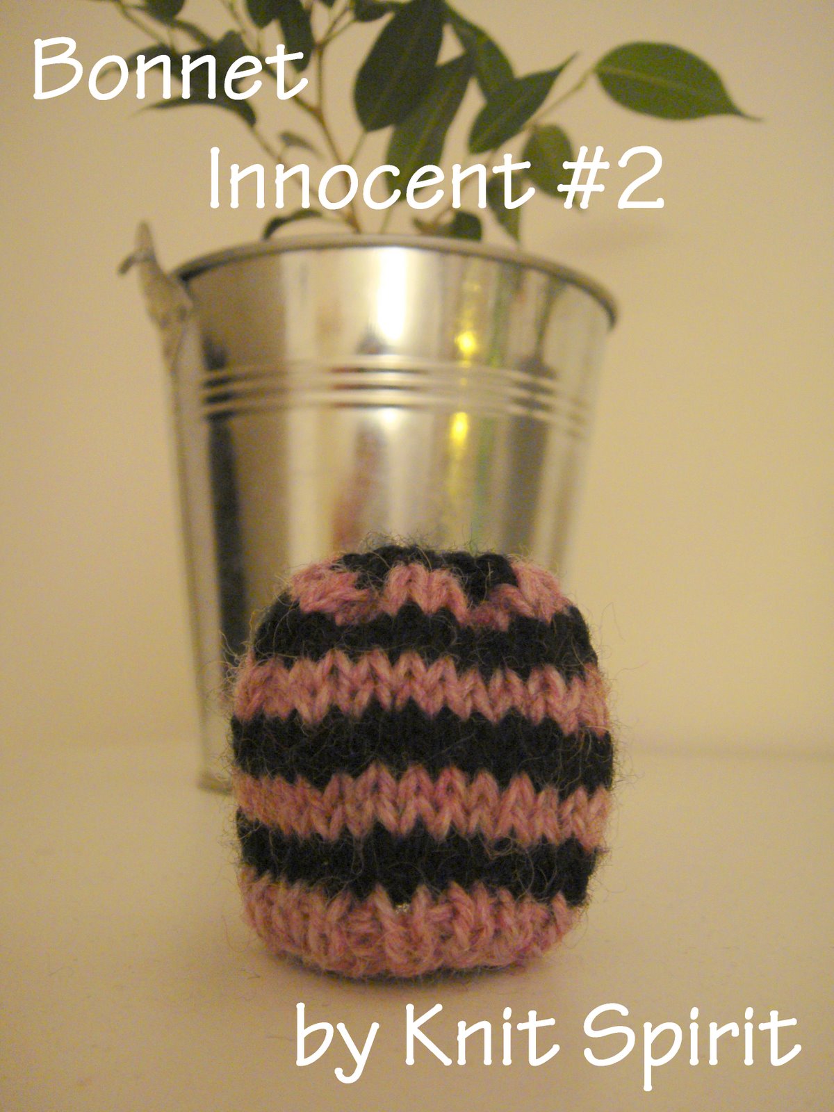 [bonnet_innocent_2.JPG]