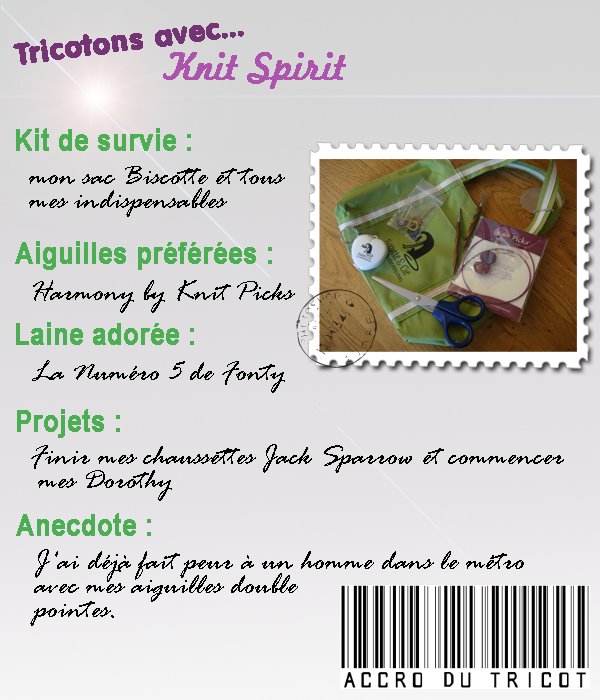 [Tricotons_avec_Knit_Spirit.jpg]