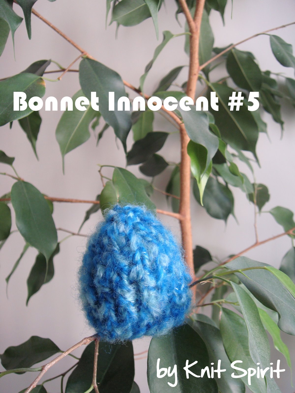 [bonnet_innocent_5.JPG]