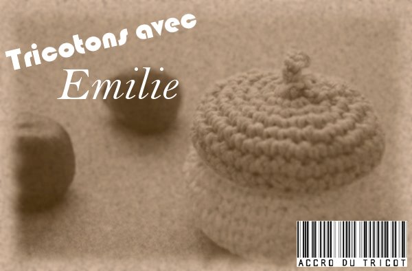 [Tricotons_avec_Emilie.jpg]