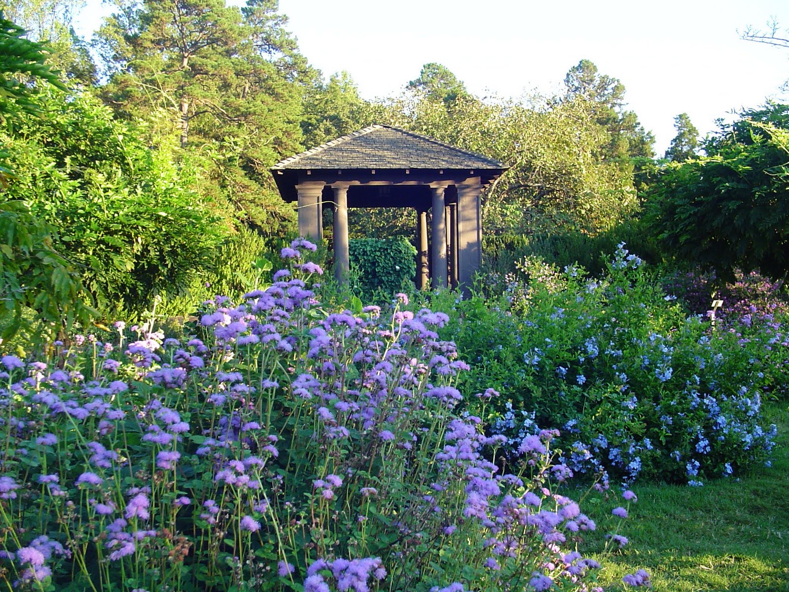 So Many Words... Reynolda Garden at Evening
