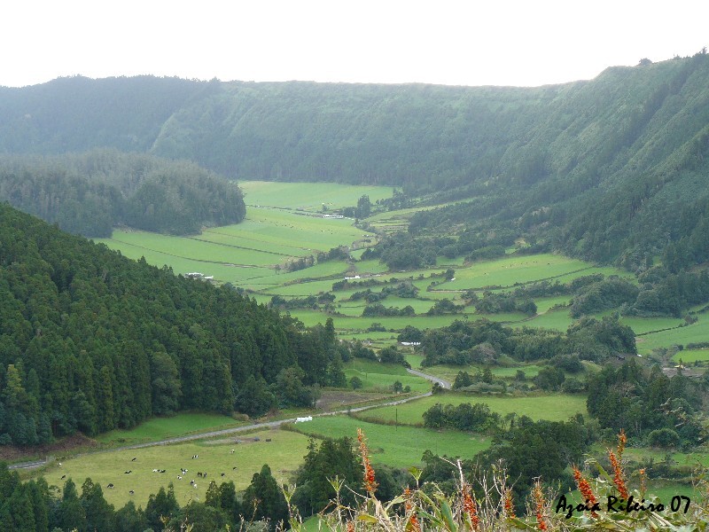 [P1020577.JPG]