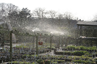 Water and invitations