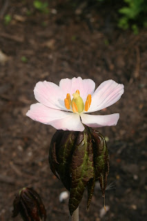 A day out at Malvern!