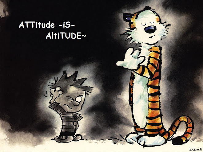 ~ATTITUDE IS ALTITUDE~