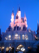 Now that's one fabulous hotel! The Disney Dolphin Resort! (disney castle)