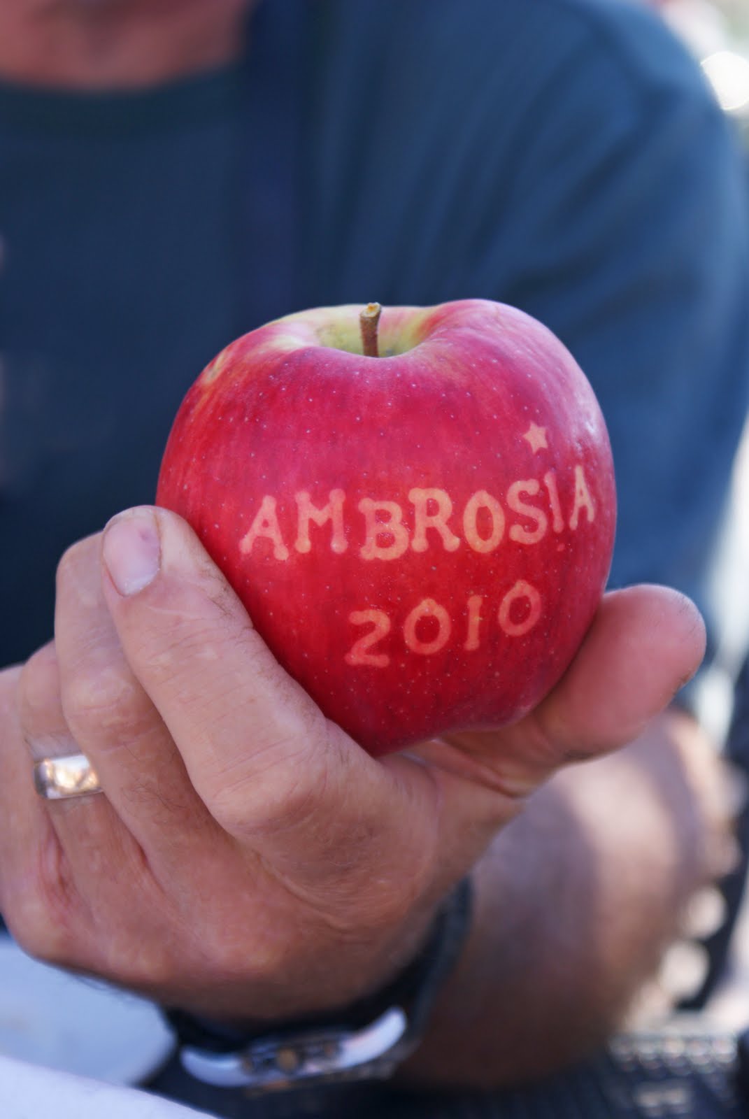 Ambrosia Apple Fritter "Doughnuts" Dinner With Julie