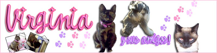 Virginia... y sus amigos!
