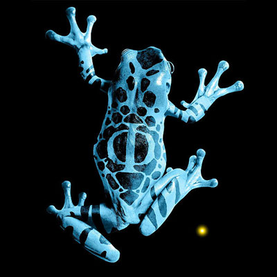 Glyph Hands