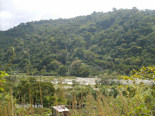paisaje Venezolano