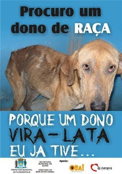 Adote um animal de rua