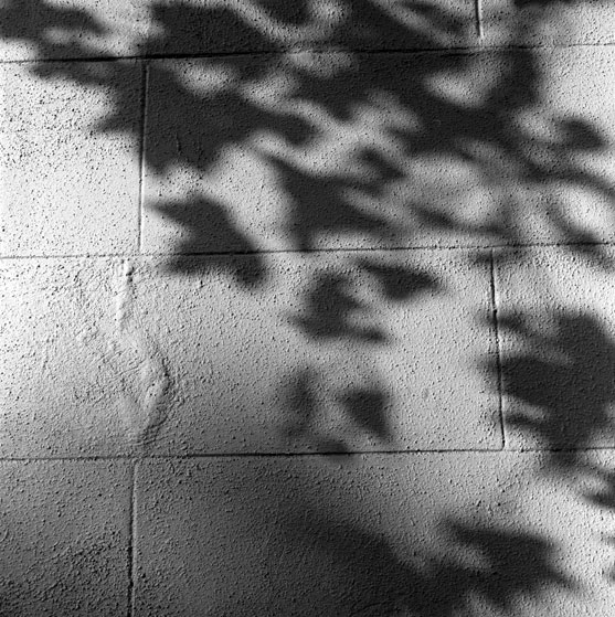 [shadow.jpg]