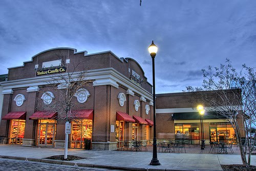 Lucy, Duke &amp; Their Humans Crazy About Charleston, SC
