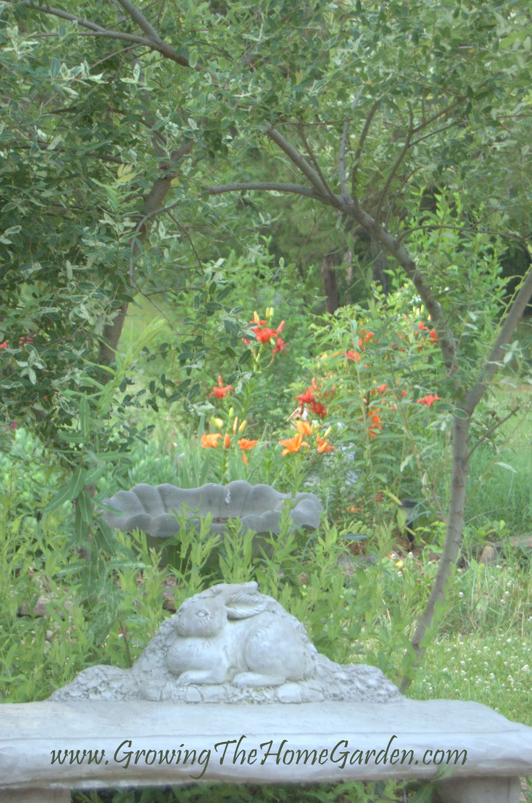 Cottage Farms 1 Piece Dappled Willow Tree Qvc Com