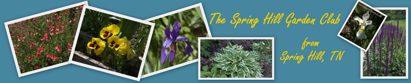 Spring Hill Tn Garden Club