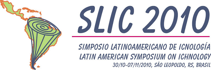 SLIC 2010