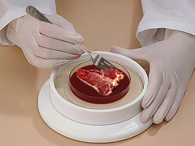 [steaksynth.jpg]
