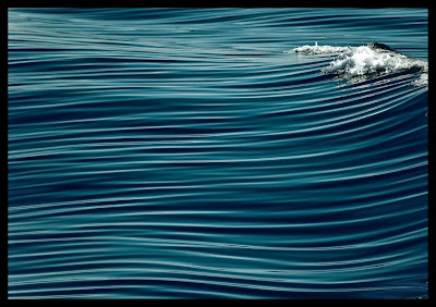 Ocean Swells