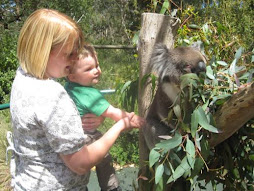 Dylan attacks a koala