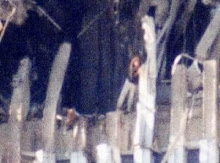 Woman standing at the edge of the North Tower