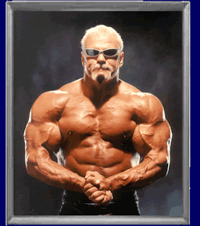 My WWE Hall Of Famers
