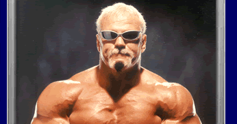 My WWE Hall Of Famers