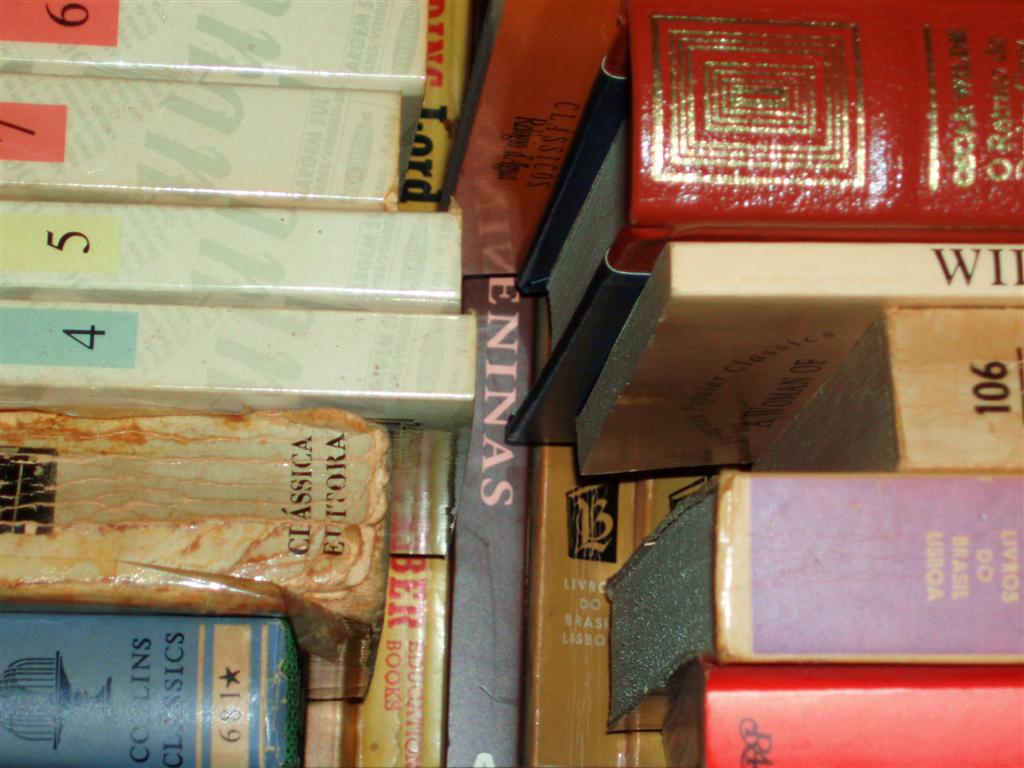 [P5280285+(Large).JPG]