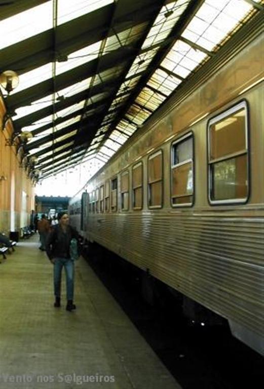 [vento+nos+salgueiros.JPG]