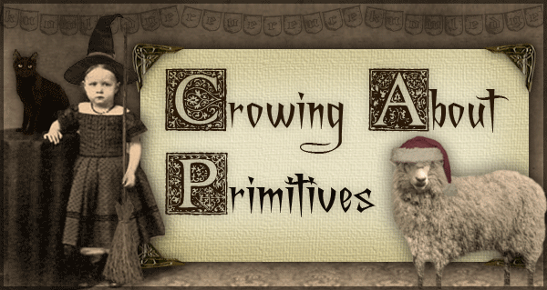 ~  BLOG ~