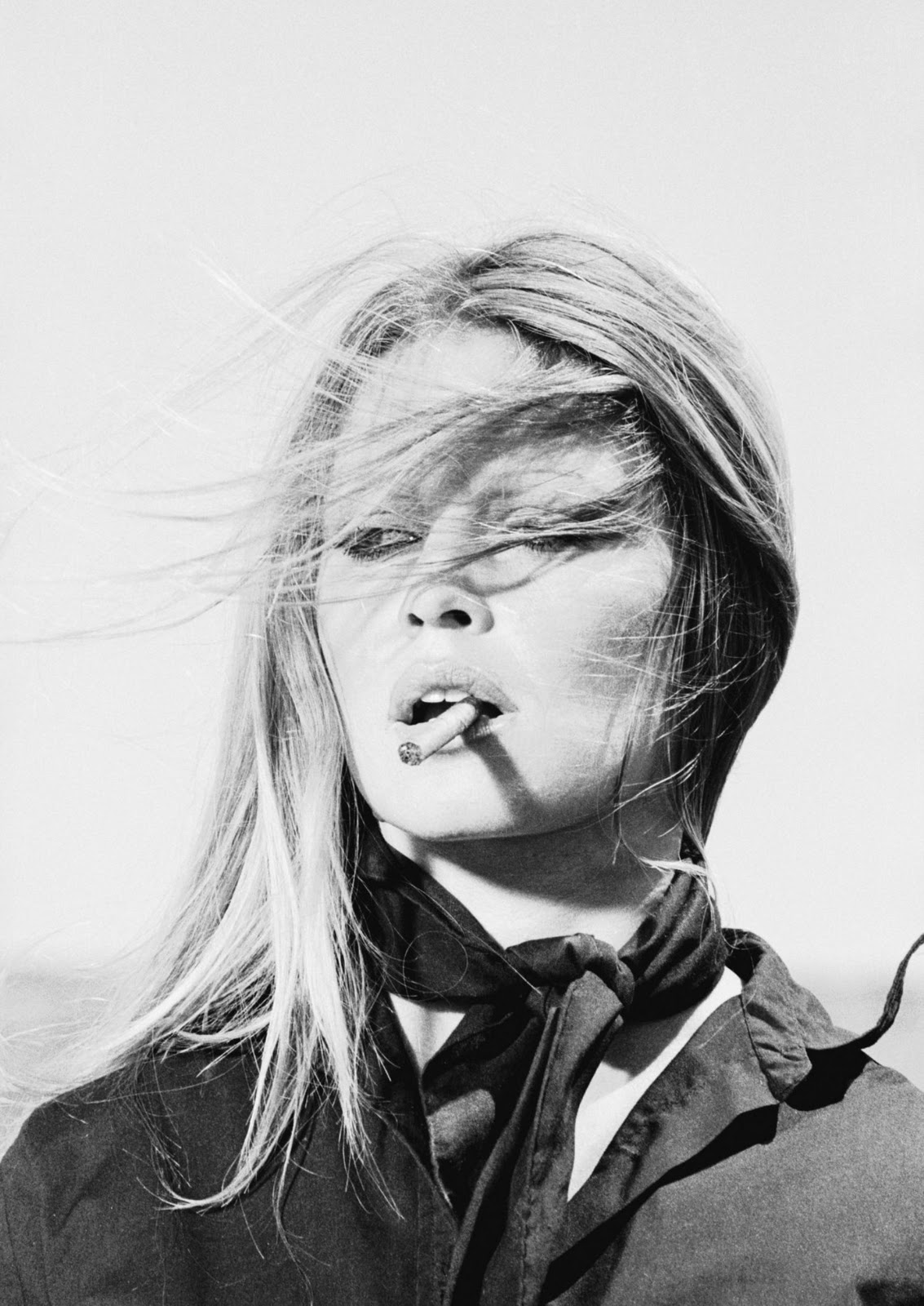 http://1.bp.blogspot.com/_P41S017b2nc/TLI7rjbchgI/AAAAAAAAAmc/JZjjIIsvPfA/s1600/brigitte-bardot.jpg