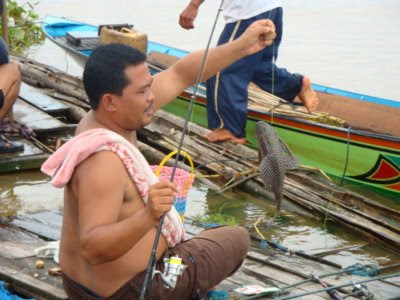 Ikan Sapu