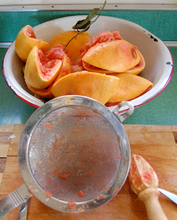 The Reseda grapefruits were