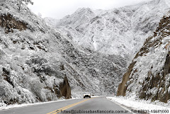 La Cébila nevada...