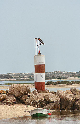 [Image3.jpg]
