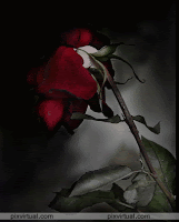 BLOG-rosa_triste.gif
