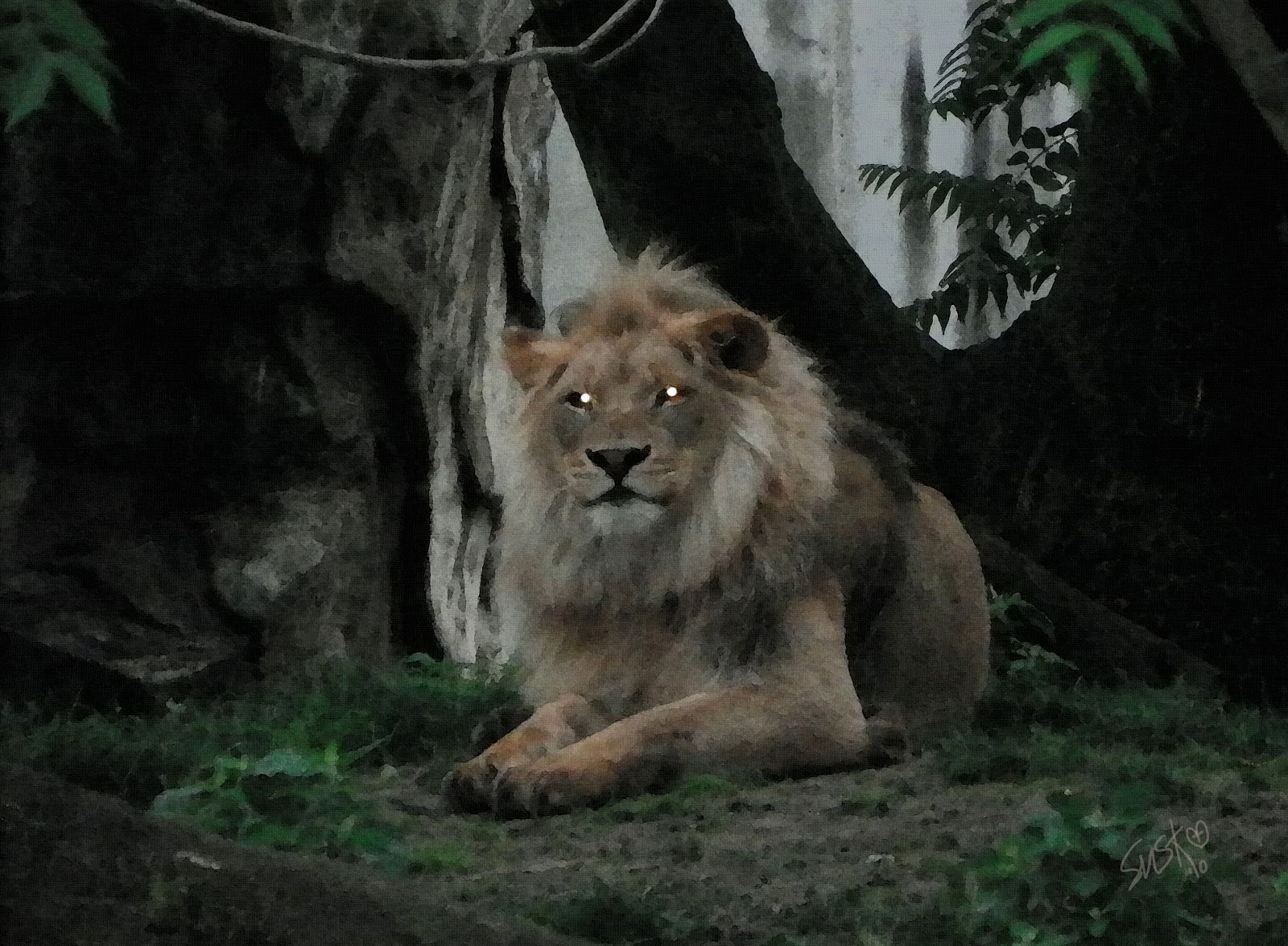 Dark Lion