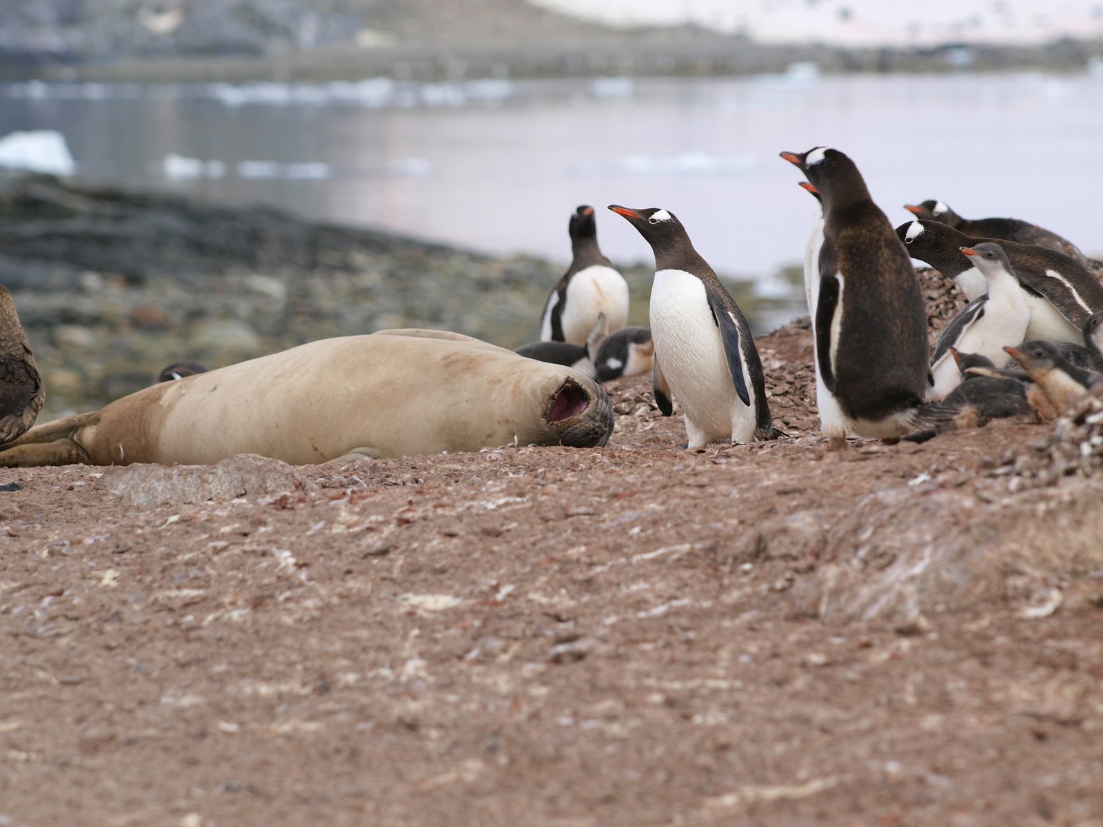 [Espen+Sortland.JPG]