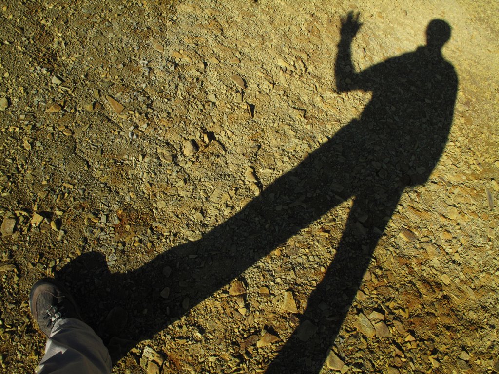 [shadow_1455.jpg]