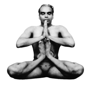 Labels: iyengar, yoga