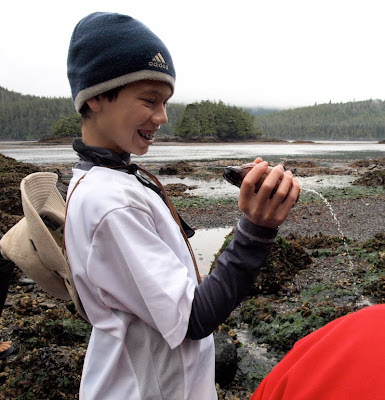 sea cucumber squirting toxin