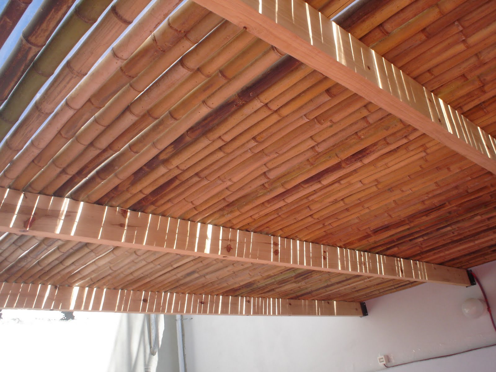 RODRIGUEZ NUMA ARQUITECTURA: Remodelacion de terraza y patio